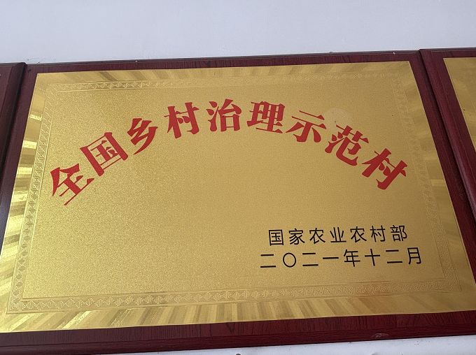 全国乡村治理示范村